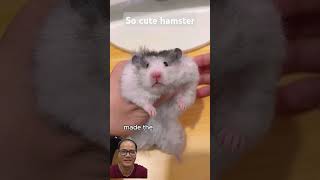 This Hamster’s Digging Skills Will Leave You Speechless jackieMcReY hamstersshow [upl. by Notliw142]