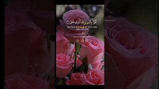 اقراء بِسمِ islamicstatus ytshorts [upl. by Zwick]