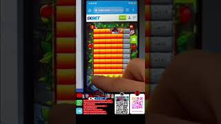 WOW WIN BIG with 1xBet Apple of Fortune Hack 2024 Full Support amp Loss Recovery 1xbettips tricks [upl. by Tuhn203]