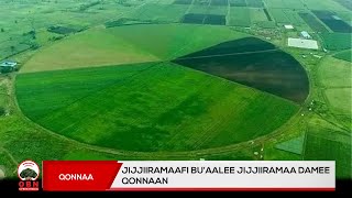 Jijjiiramaafi bu’aalee jijjiiramaa Damee qonnaan [upl. by Dempsey]