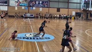 U18s DIV 1  PACIFIKA vs TRIBE highlights 231124 [upl. by Mailiw558]