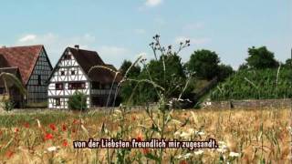 Heimat deine Sterne  Instrumental  zum Mitsingen [upl. by Alegnat361]