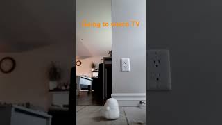 Ghosty gos to watch TV funzee [upl. by Bradlee]