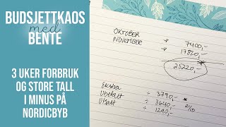 3 UKERS FORBRUK og STORE UTGIFTER PÅ FIRMA  BUDSJETTKAOS med BENTE  NORWEGIAN [upl. by Teodorico]