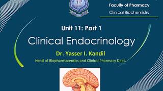 19 Clinical Endocrinology Part 1 by Dr Yasser Kandil [upl. by Shiau]