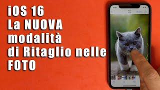 Come Ritagliare dallo Sfondo e Spostare un Soggetto dalle Foto su iOS 16 dell iPhoneiPad [upl. by Eimarej]