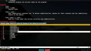 Vidir  Bulk Rename Files  Linux CLI [upl. by Boffa888]