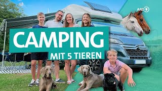 WohnmobilTour mit 3 Hunden und 2 Pferden  ARD Reisen [upl. by Atsylac742]