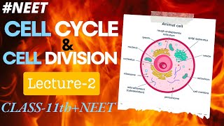 BIOLOGY L2 CELL CYCLE AND CELL DIVISION ENLIGHT BATCH NEET 11 PCB ELITE ACADEMY [upl. by Lyrrad]