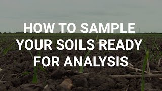 How to sample your soils ready for analysis [upl. by Einattirb937]