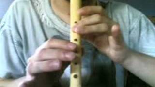 How to play Legend of Zeldas Main Theme with recorder flute flauta [upl. by Mclain952]