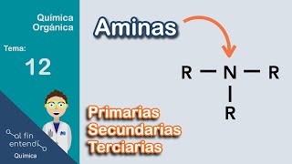 Nomenclatura y Clasificación  Ejemplos y Ejercicios [upl. by Kimmi734]