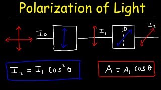 Polarization of light Problems Malus Law  Intensity amp Amplitude  Physics [upl. by Anairda]