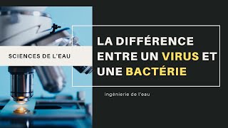 La différence entre un virus et une bactérie [upl. by Manuela589]