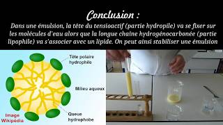 Emulsions et tensioactifs [upl. by Dominica530]