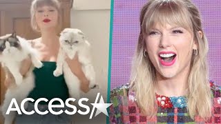 Taylor Swift Embraces Being a Cat Lady In Hilarious TikTok 🐱 [upl. by Alrahs]