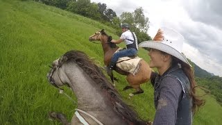 Epic horse galloping with GoPro by KristyM Ranch [upl. by Nilrem]