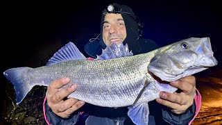 Spigola di 3kg a Surfcasting su innesco infallibile [upl. by Ailedroc]