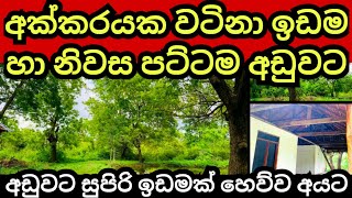 අක්කරයක ඉඩම හා නිවස අඩුම මුදලකට විකිණේ  House for sale  Land for sale  Aduwata idam  idam sale [upl. by Ury820]