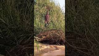 Arthur Lukandu in the River Nzoa Mumias 9 [upl. by Schubert]