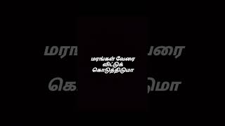 இந்த அன்பைப் போல வேறு எது  Orey Oru Ooril Oru veedu song whatsapp status gvprakash gvprakashsong [upl. by Aible592]