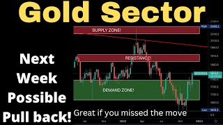 Gold Sector December 2nd 2022 Update [upl. by Nauwtna149]