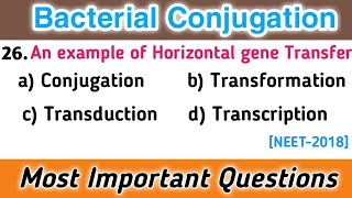 MCQs on Bacterial Conjugation  Microbiology mcq with answers School of Biology [upl. by Ahsenik]