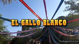 El Gallo Blanco Video Oficial [upl. by Nielson368]