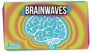 What Do Different Brainwaves Mean [upl. by Ginevra]