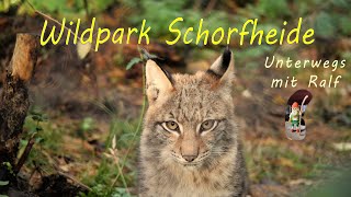 Wildpark Schorfheide  Tieraufnahmen in 4k [upl. by Neram213]