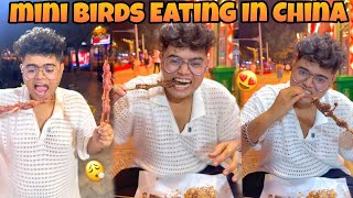 Birds Eating Challenge Eating Challenge 😋😮Kanda Lovers [upl. by Aihsad]