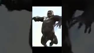 gorilla Vs dinasour fight gorilla fight gorilla Wala film gorilla dinasoure shorts youtubeshorts [upl. by Nnaeinahpets]