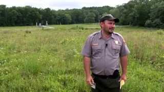 The Wheatfield A Gettysburg Battle Walk  Ranger John Hoptak [upl. by Ailecara]