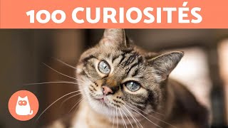 100 CURIOSITÉS sur les CHATS absolument INCROYABLES 🐱🐾 [upl. by Pentha]