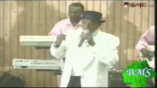 Ali Birra  Karaan Mana Abbaa Gadaa eessa Oromo Music [upl. by Neslund]