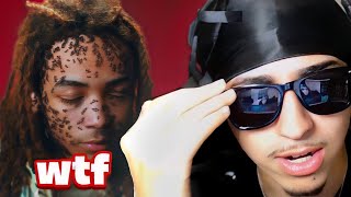 What Is This Music Video  Che  I Rot I Rot Reaction [upl. by Eimarrej]