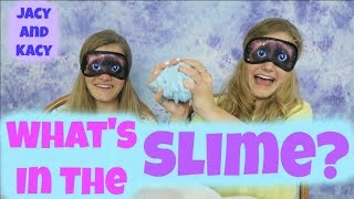 Whats in the Slime Challenge  Jacy and Kacy [upl. by Ailalue]