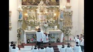 The New Mass vs the Traditional Latin Mass Full Movie [upl. by Mahon360]