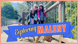 9 Places to Visit in MALENY  Exploring Maleny  TzQuad [upl. by Ahsele]