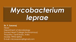 Mycobacterium leprae [upl. by Lorac]