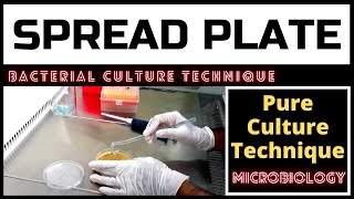 Spread Plate Technique for Colony CountingA Complete Procedure Microbiology [upl. by Pilihp69]