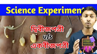 SE26  What is Monocot and Dicot Plant  Science Experiment  একবীজপত্রী ও দ্বিবীজপত্রী উদ্ভিদ [upl. by Ranie]