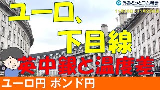 週刊為替レポートハロンズ・ダイジェスト（ユーロ円、ポンド円）11月18日～11月22日週 [upl. by Acenom951]