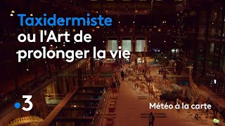 Taxidermiste ou lart de prolonger la vie  Météo à la carte [upl. by Amaris]