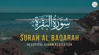 Surah Al Baqarah calms quarrel and gives a good marriage Free from witchcraft and shaitan [upl. by Bobby]