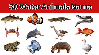 30 Water Animal Names For Everyone  Water Animals Name Video [upl. by Hindorff]