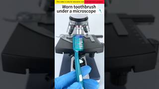 Toothbrush microscope se kaisa dikhta hai 😱🔬 Shorts ytshorts facts ItzAsim46 DEVKeFacts [upl. by Jacques]