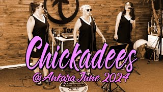 Chicadees Ankara June 2024 [upl. by Celinka]