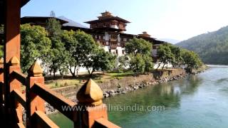 Punakha Dzong Fortress Must visit place in Bhutan [upl. by Jacy]