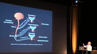 Congres Urologie  20 april 2015  Dr Jo Ampe  OAB  deel 1 [upl. by Uball310]